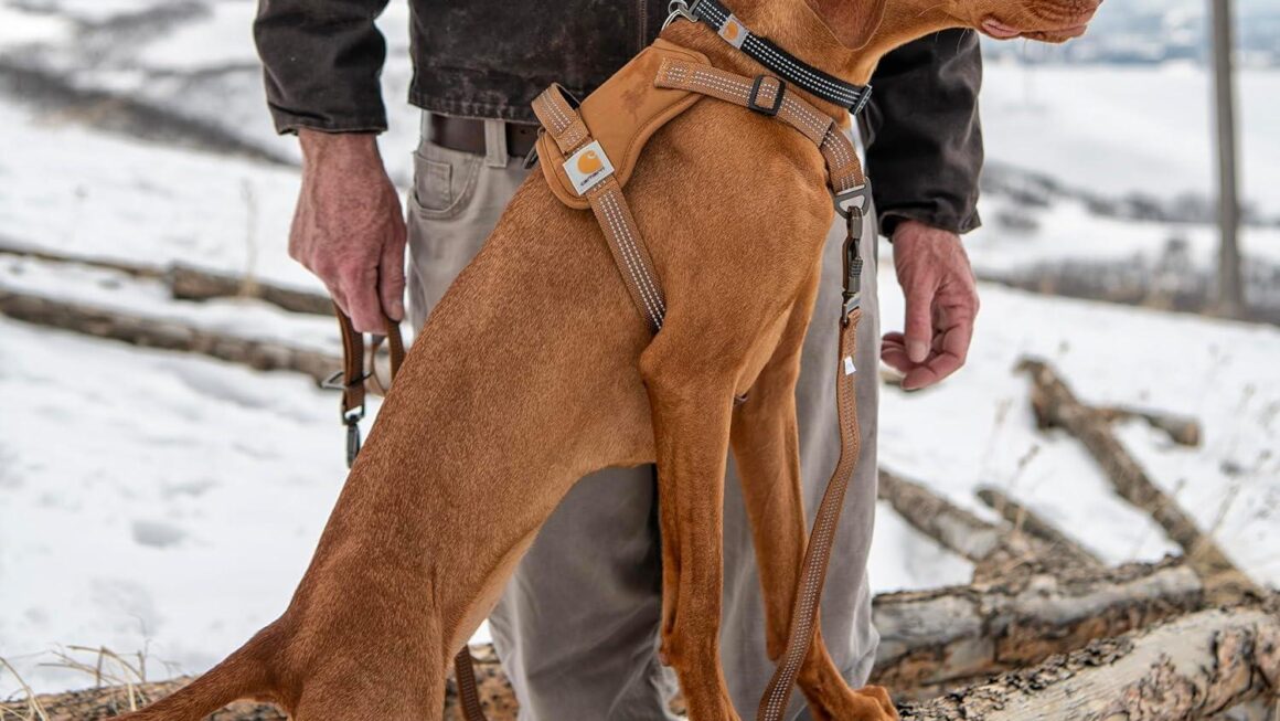 Best Dog Harness – Carhartt Nylon Duck No Pull Harness with Reflective Accents Review