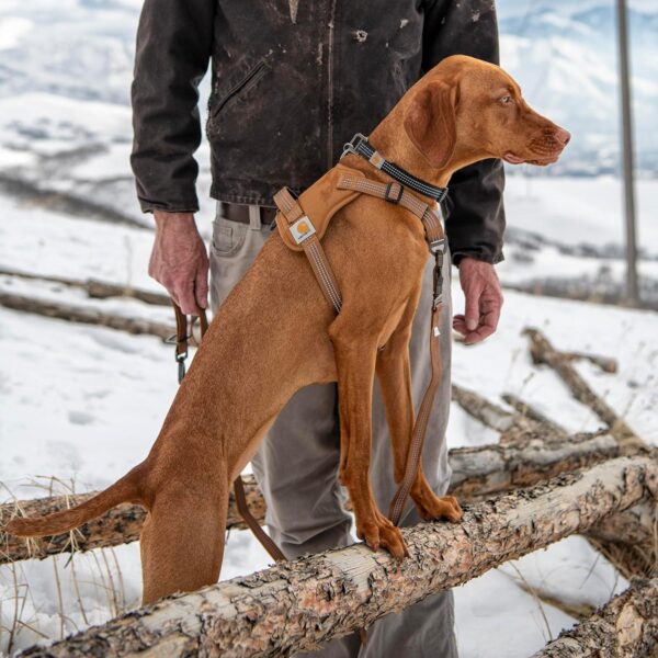 Best Dog Harness – Carhartt Nylon Duck No Pull Harness with Reflective Accents Review